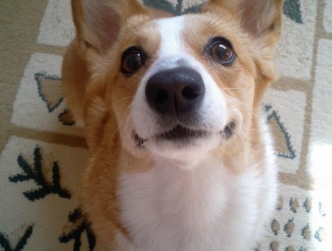 たいとるたいとるたいとるたいとるたいとるたいとるたいとるたいとるたいとるたいとるたいとるたいとるたいとるたいとるたいとるたいとるたいとる